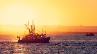 AdobeStock_430292038