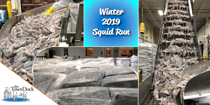 Winter’s Not-So-Mini Squid Run