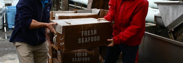 the town dock camalari | fresh seafood loaded off dock