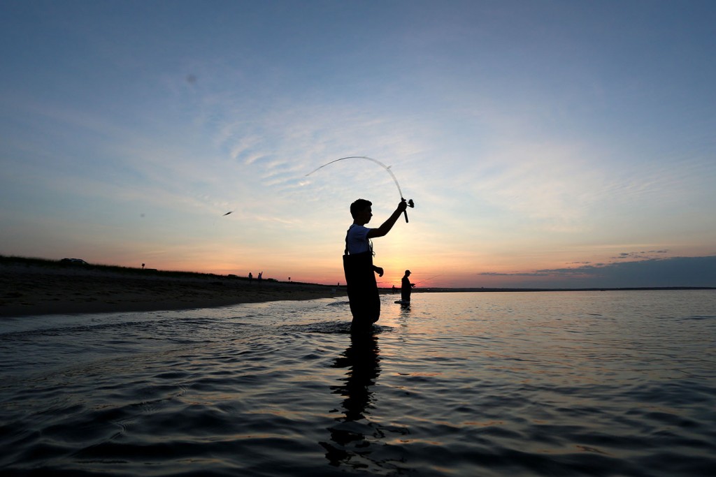 World Oceans Day
