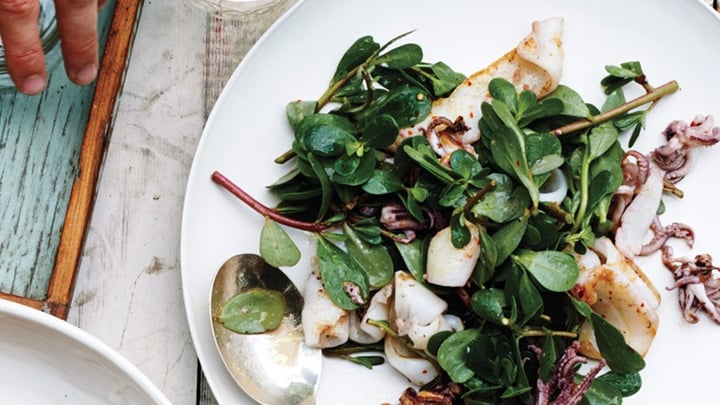 The Feast of the Seven Fishes Celebration