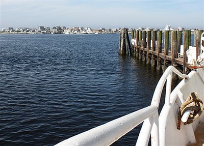 Point Judith Rhode Island | Calamari | The Town Dock