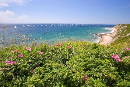 the bluffs block island restaurant week | rhode island