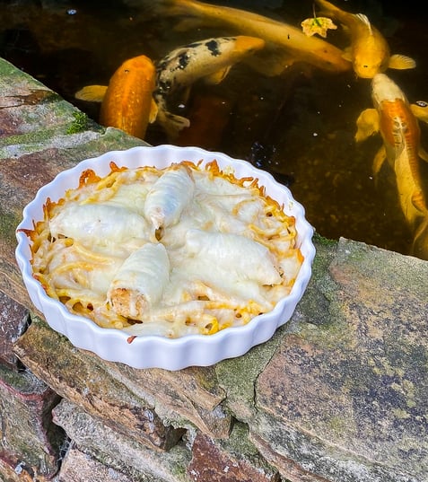 A round white dish with four calamari tubes over a bed of pasta, covered in cheese. It's sitting on a stone wall by a koi pond. 