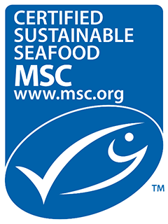 First Squid Fishery In The World Certified As Sustainable