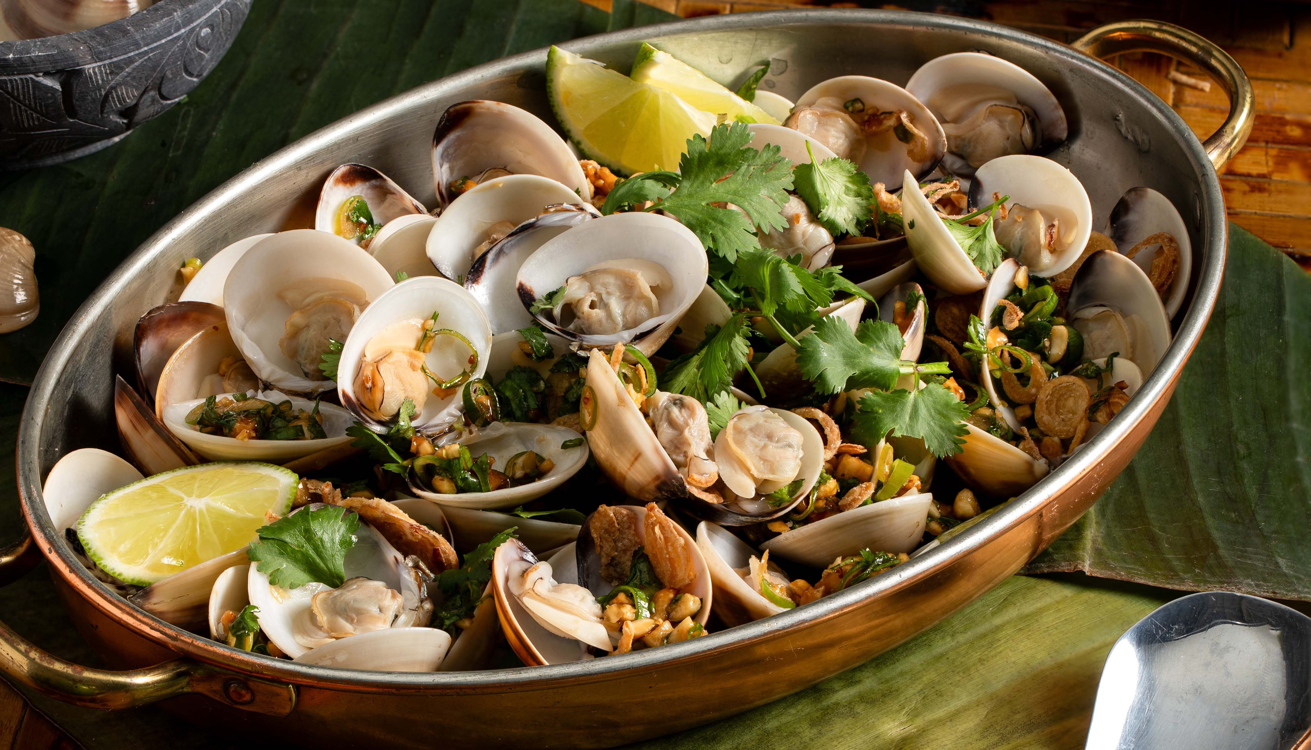 P02 Vietnamese-Style Clams with Peanut and Herbs-banner