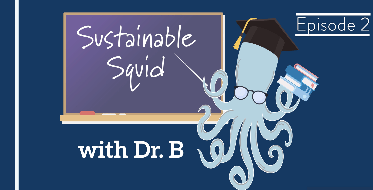 Episode 2 - Let's Talk Sustainability