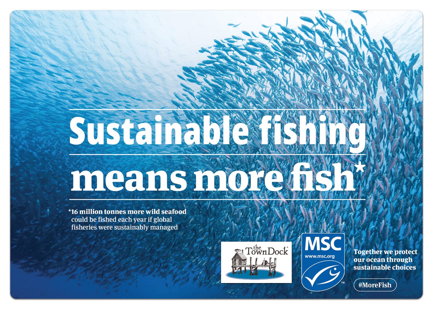 Happy World Ocean Day!