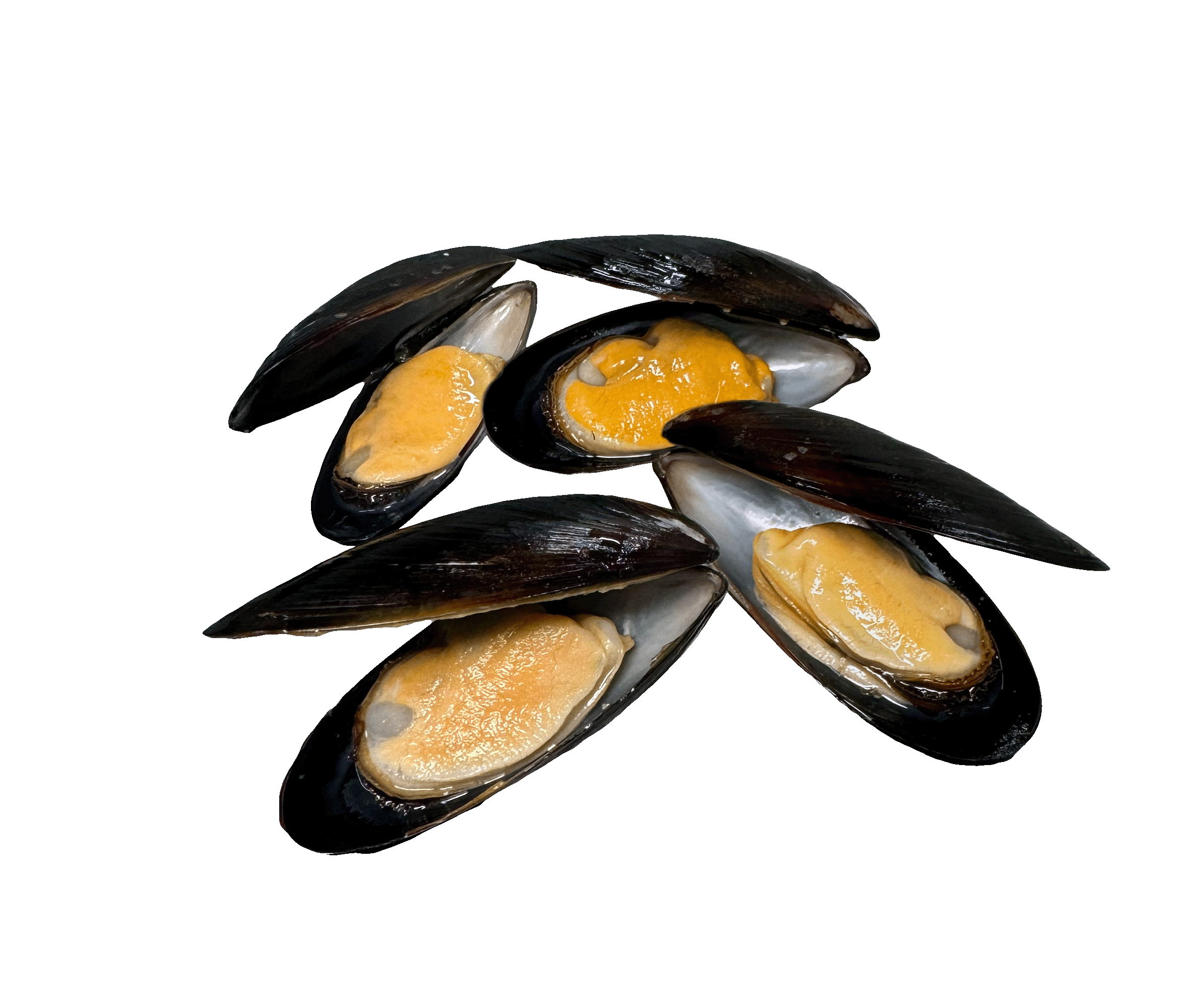 Four Mussels in their shells, but steamed open to show the meat inside. 