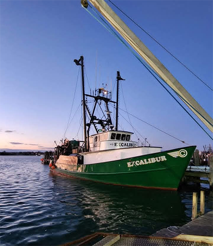 Excalibur 1-1