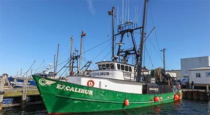 Excalibur 8-1