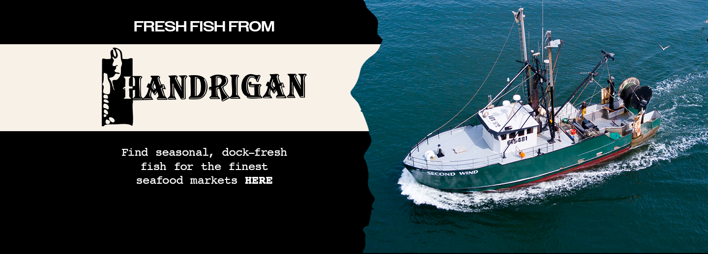 FRESH FISH FROM