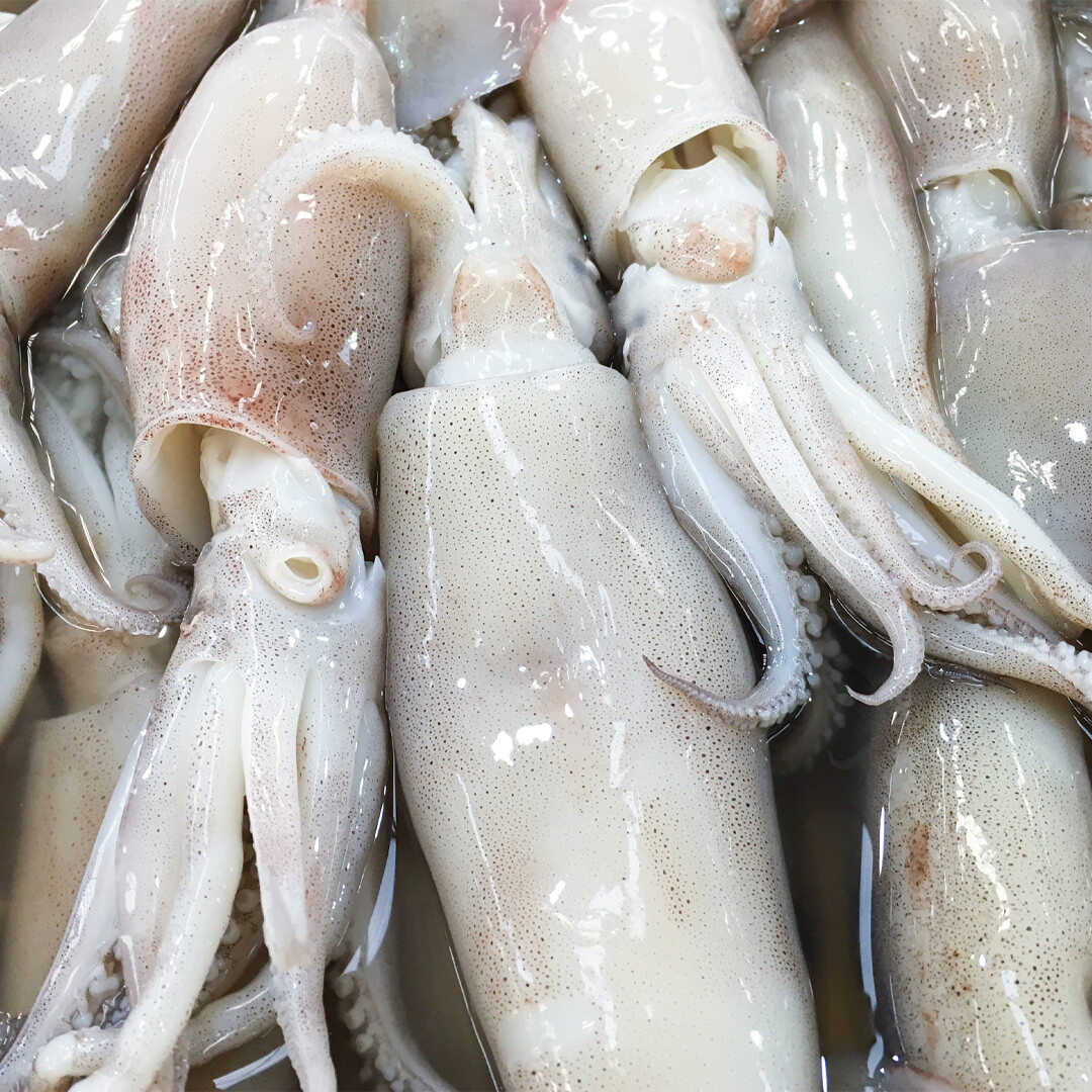 What Are Squid Rings Exactly?