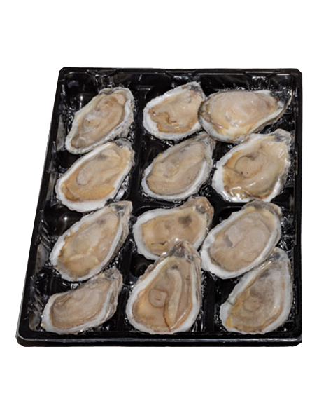 144 Count Oysters from The Town Dock, 12 oysters nested in a black tray 
