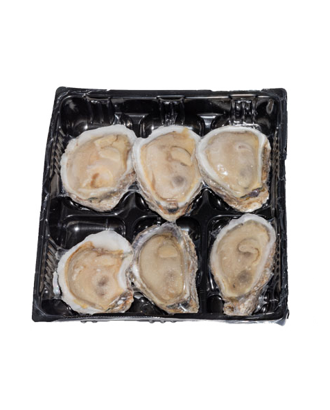 72 Count Oysters from The Town Dock, 6 oysters nested in a black tray 